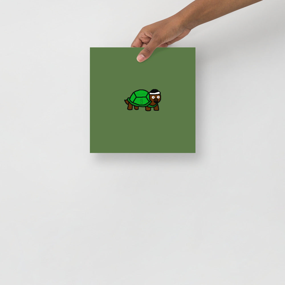 Bobby Tortoise Poster