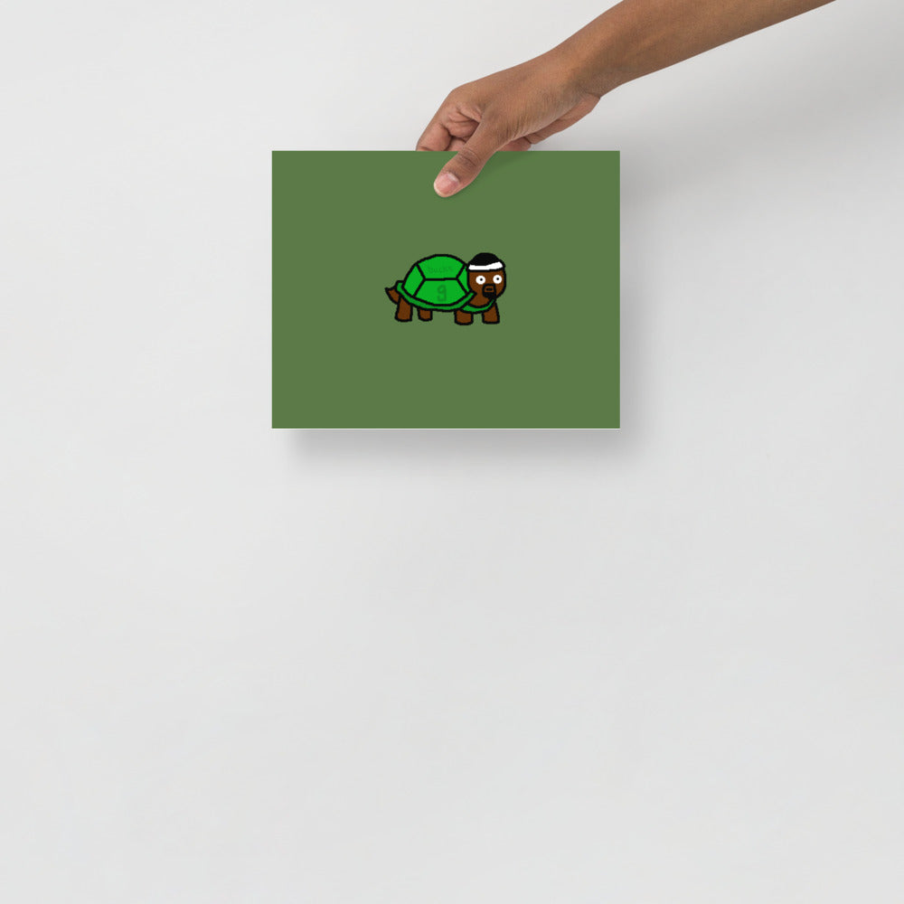 Bobby Tortoise Poster